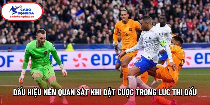 Các dấu hiệu nên quan sát khi đặt cược trong lúc thi đấu Các dấu hiệu nên quan sát khi đặt cược trong lúc thi đấu