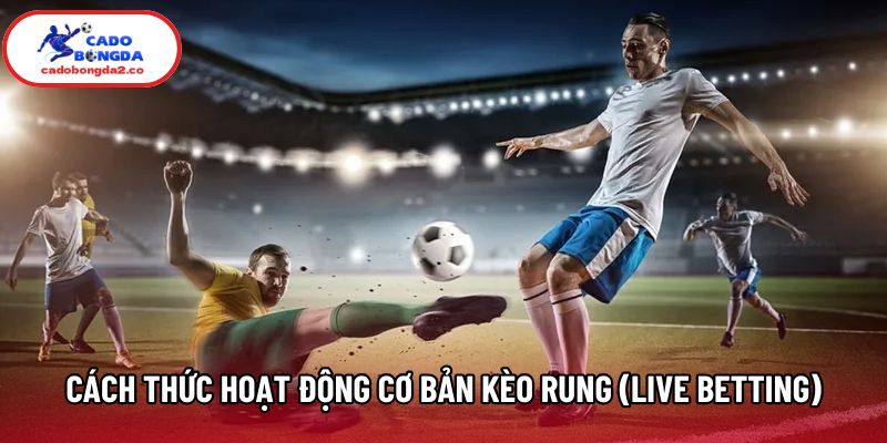 Cách thức hoạt động cơ bản của kèo rung (Live betting) Cách thức hoạt động cơ bản của kèo rung (Live betting)