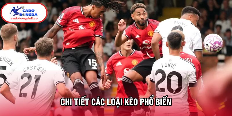 Chi tiết các loại kèo phổ biến Chi tiết các loại kèo phổ biến