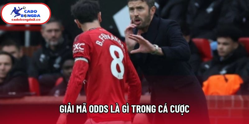 Giải mã odds là gì trong cá cược Giải mã odds là gì trong cá cược