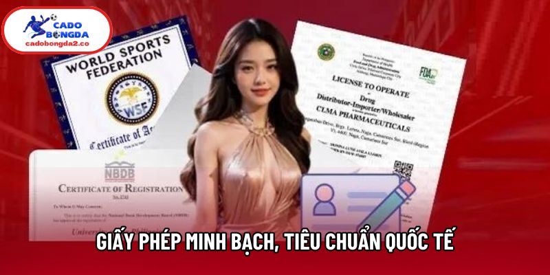 Giấy phép minh bạch, tiêu chuẩn quốc tế Giấy phép minh bạch, tiêu chuẩn quốc tế