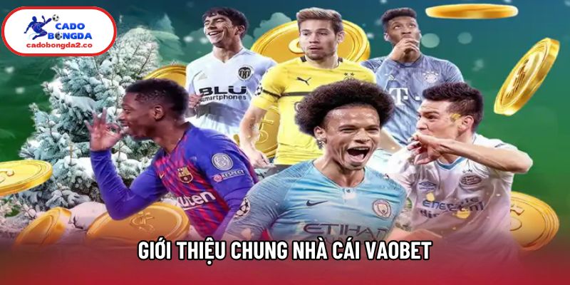 Giới thiệu chung nhà cái Vaobet Giới thiệu chung nhà cái Vaobet