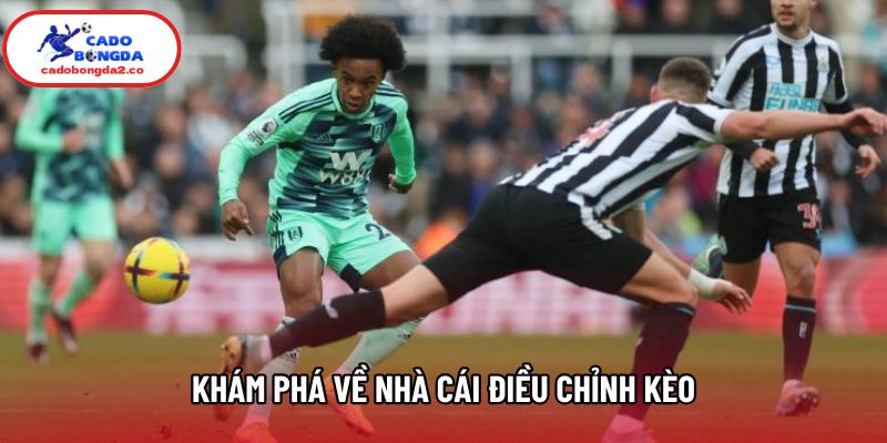 Khám phá về nhà cái điều chỉnh kèo Khám phá về nhà cái điều chỉnh kèo