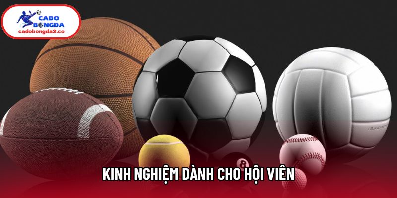 Kinh nghiệm dành cho hội viên Kinh nghiệm dành cho hội viên
