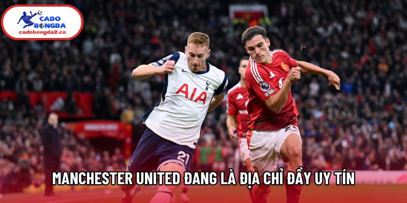 Manchester United đang là địa chỉ đầy uy tín Manchester United đang là địa chỉ đầy uy tín