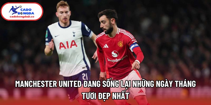 Manchester United đang sống lại những ngày tháng tươi đẹp nhất Manchester United đang sống lại những ngày tháng tươi đẹp nhất