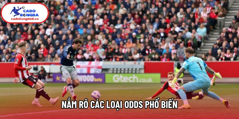 Nắm rõ các loại odds phổ biến Nắm rõ các loại odds phổ biến