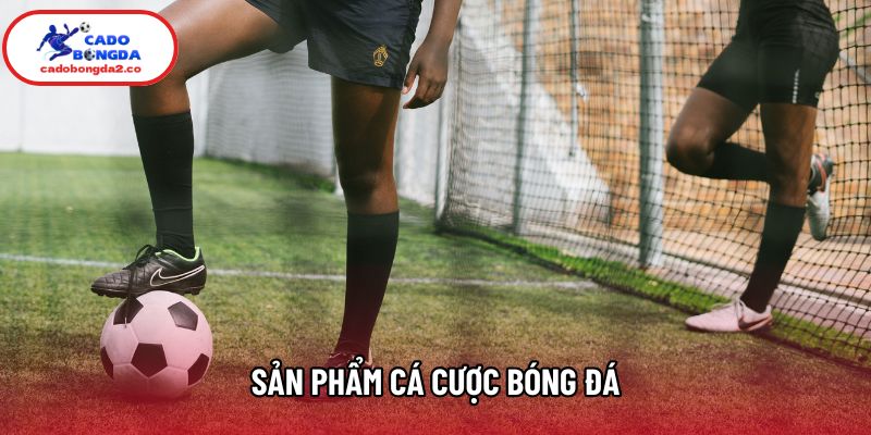 Sản phẩm cá cược bóng đá Sản phẩm cá cược bóng đá