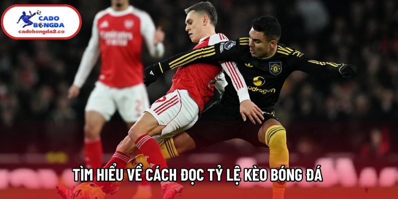 Tìm hiểu về cách đọc tỷ lệ kèo bóng đá Tìm hiểu về cách đọc tỷ lệ kèo bóng đá